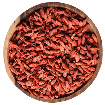 Kustovnice čínská &#8211; Goji